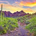 Do you fly into scottsdale or phoenix?