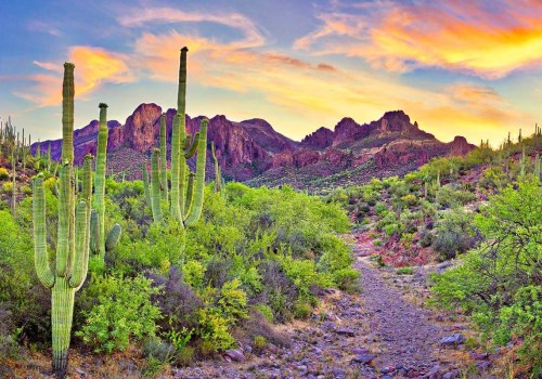 Do you fly into scottsdale or phoenix?
